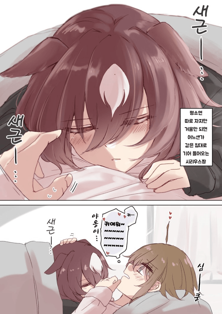 [괴문서] 내려앉은 천랑성과 별잡이 - 1일