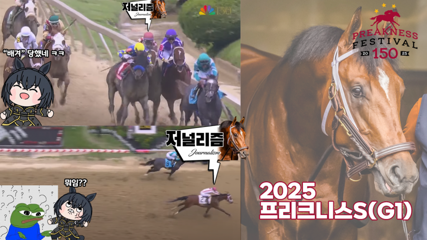 긴급 다음 경마 핫산 썸네일.png
