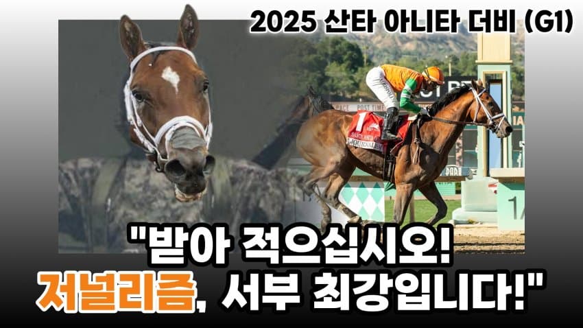 핫산) 25' 프리크니스S - 저널리즘, 벽을 넘다