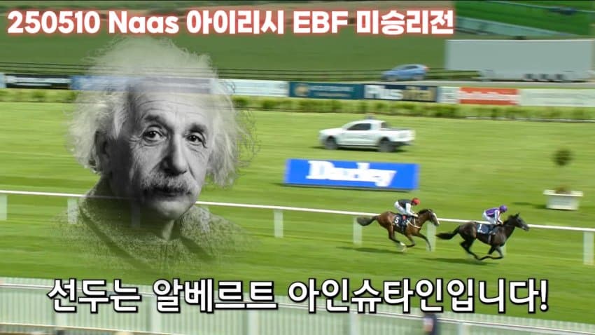 핫산) 25' 마블힐S - 알베르트 아인슈타인 / 터프의 사이언티스트