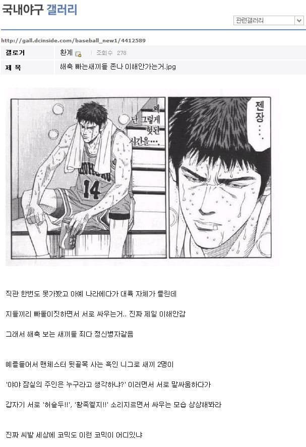 소신발언) 아까부터 기수탓 하면서 싸우는거 보면 이짤 떠오름