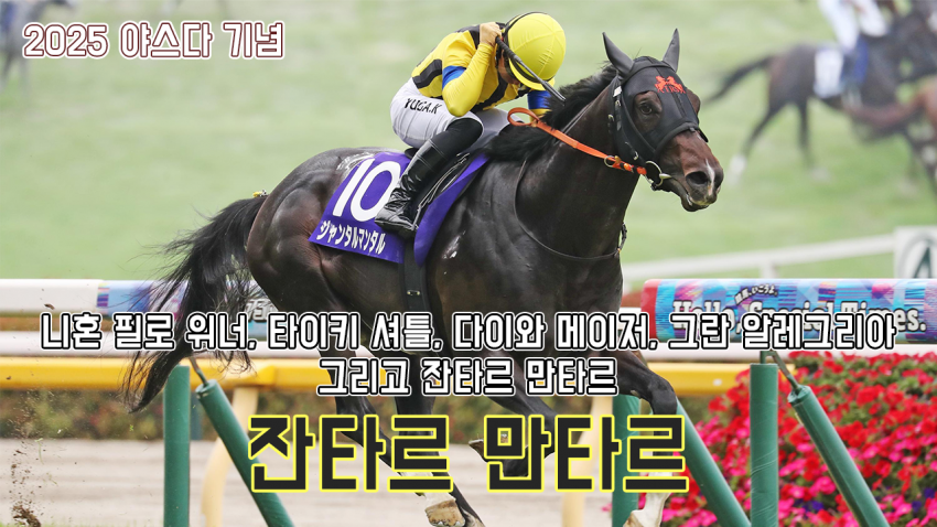 핫산) 잔타르 만타르 - 25 야스다 기념 「역대 5번째」