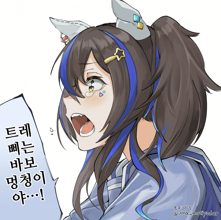 [モチヨドリ]헬리오스의 눈물