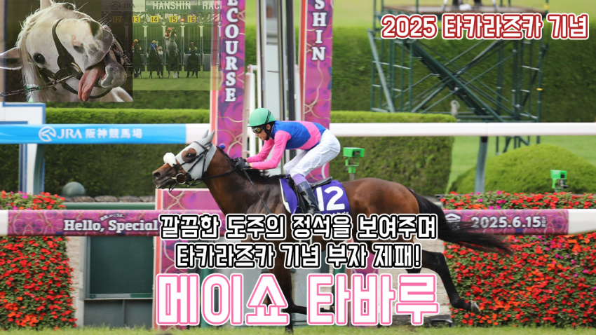 핫산) 메이쇼 타바루 - 25 타카라즈카 기념 「진짜 효자」