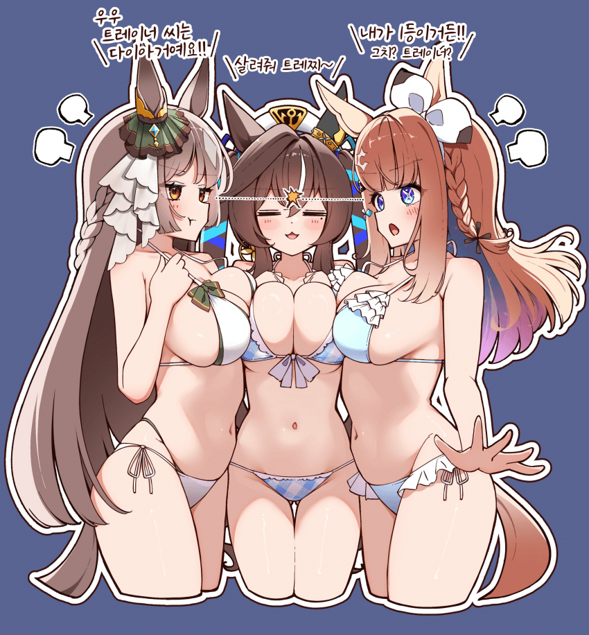 [ぽんたの毛玉]6렬