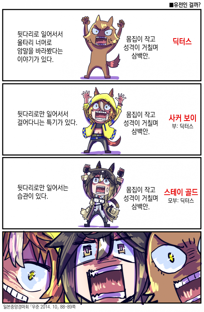 [坂崎ふれでぃ] 스테이 골드와 사커 보이와 딕터스의 공통점