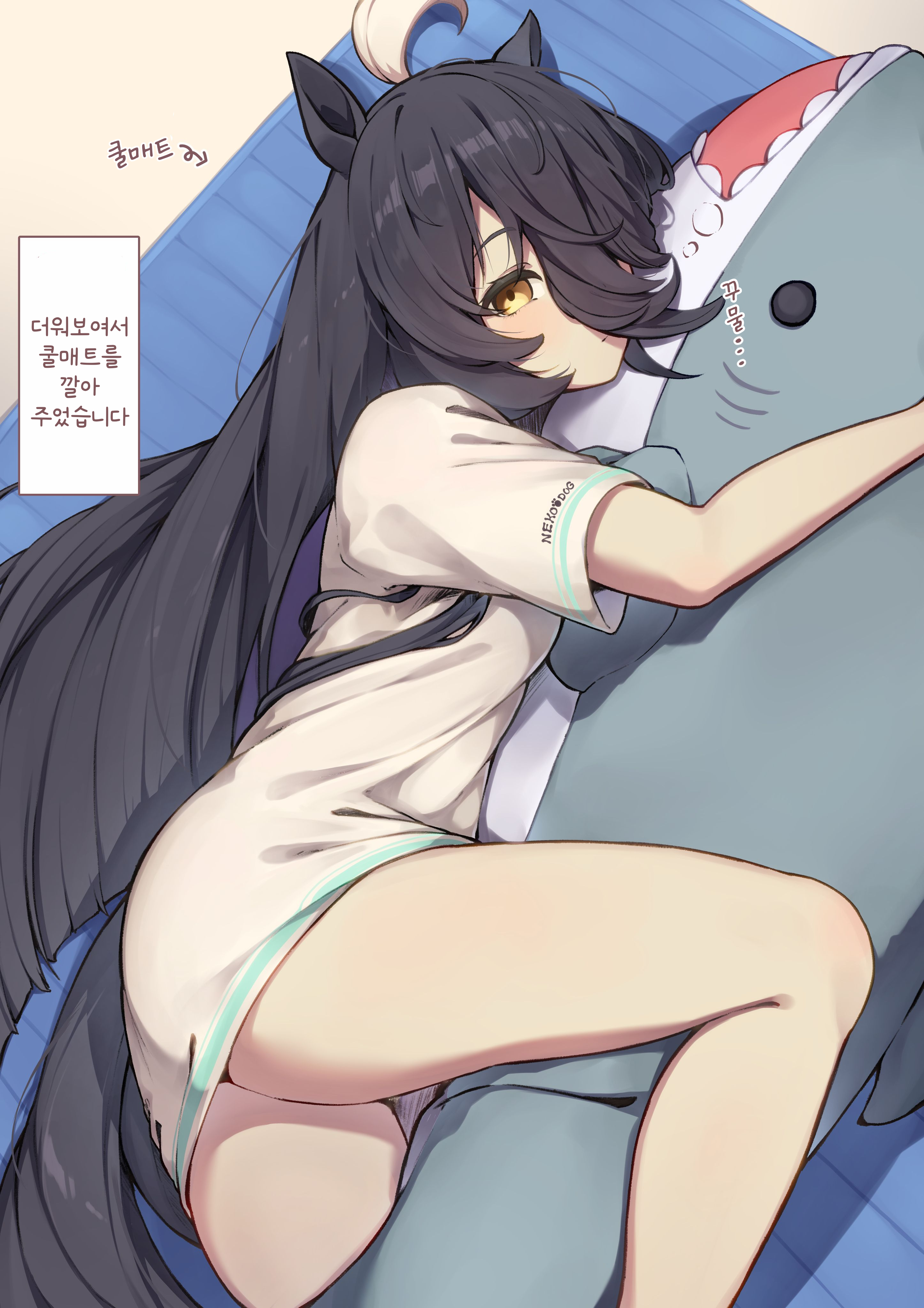 [H.B.K] 고양이 같아서 이 시기에는 쿨매트를 좋아하는 카페 씨