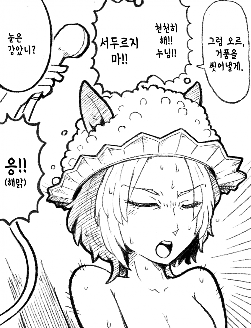 [SHO] 샴푸캡 오르