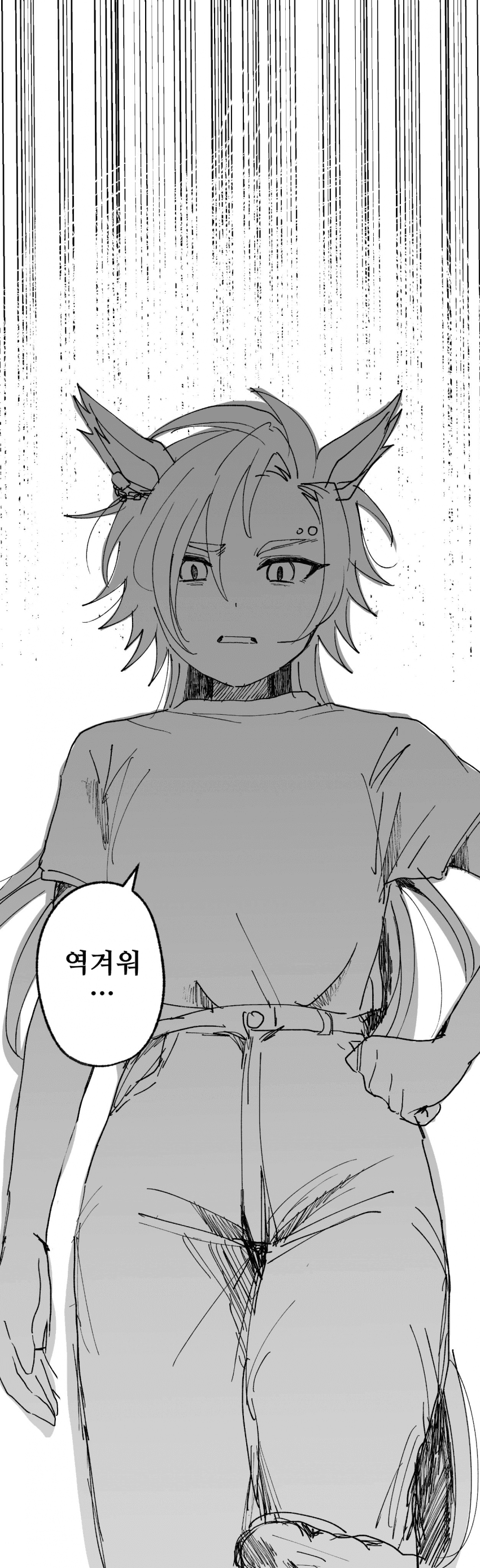 에어 샤커에게 기괴한 음해가 한 가지 생겼다