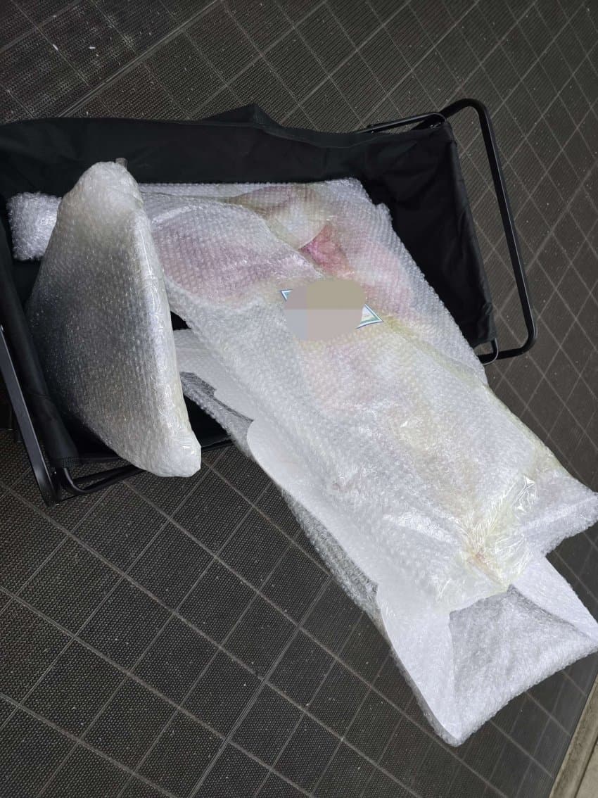 단츠 등신대 출고 완