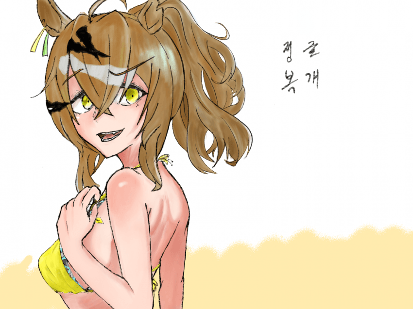 복개짱 채색해왔슴,,