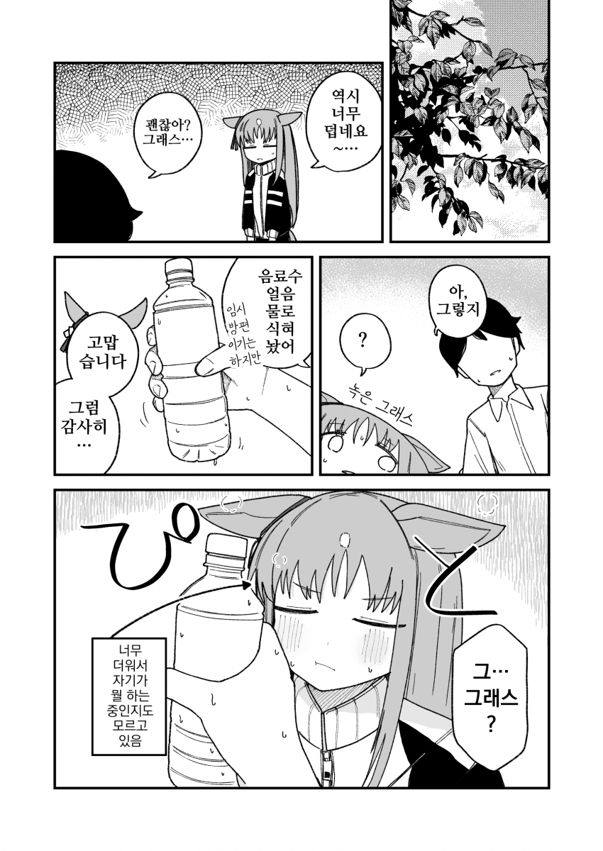 [こみねや]폭염과 그래스