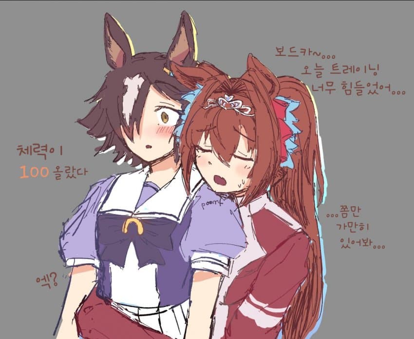 [pixloen] 보드스카