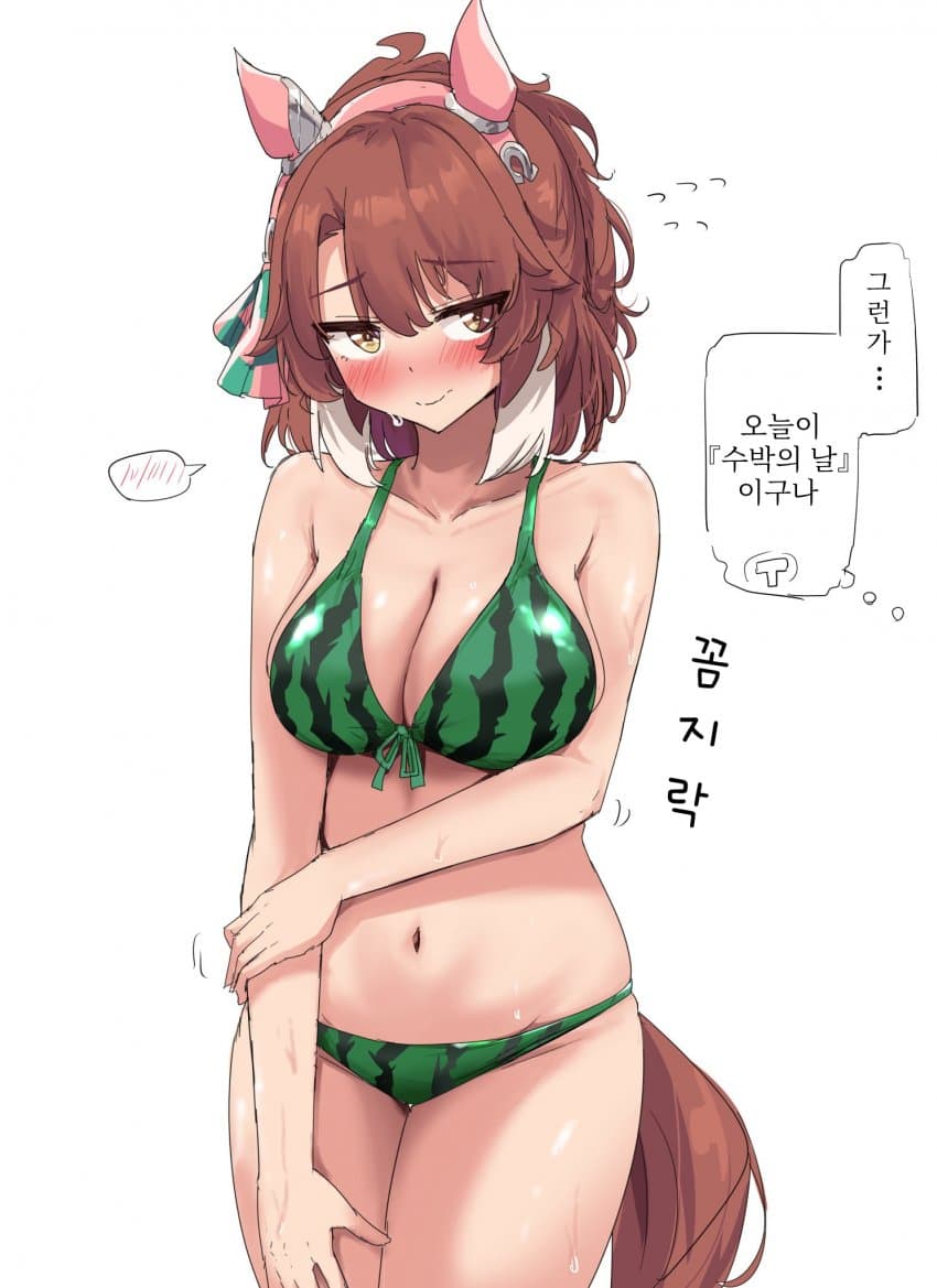 [グレイブックス] 수박의 날 왕수박 단츠