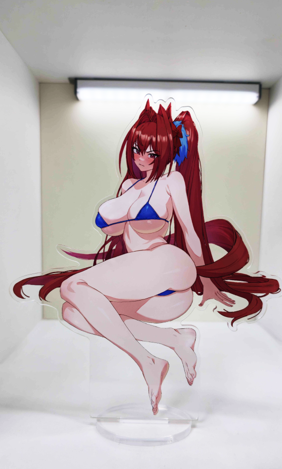다스카 비키니 아크릴