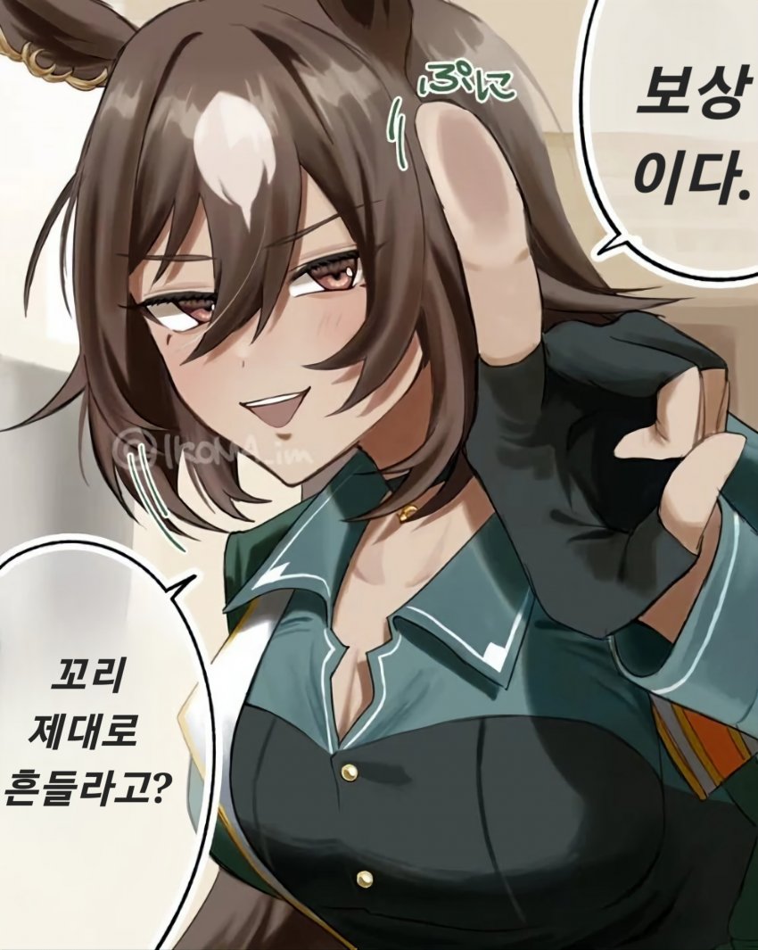 [生駒]전국의 퍼피들에게