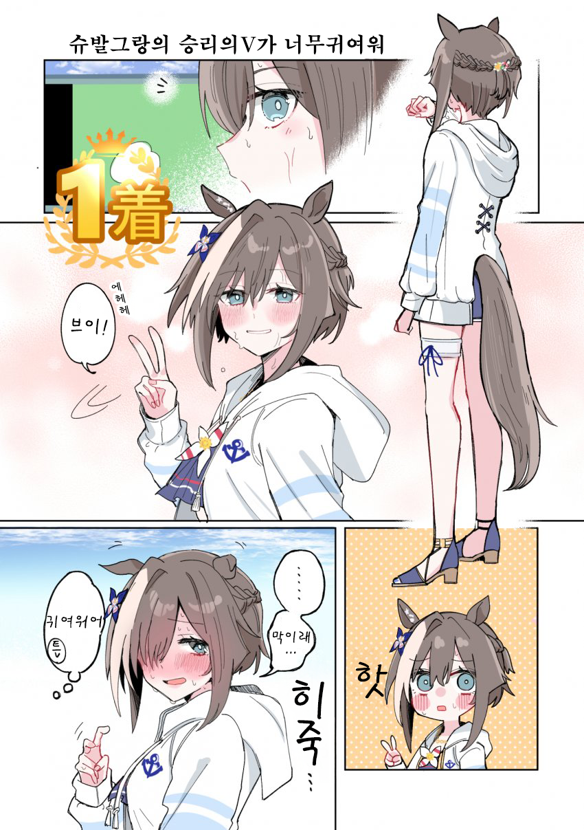 [てぃつ丸]승리의V슈발