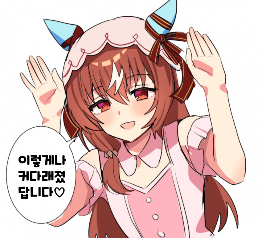 [沼地どろまる] 4.5주년 라이브 스틸
