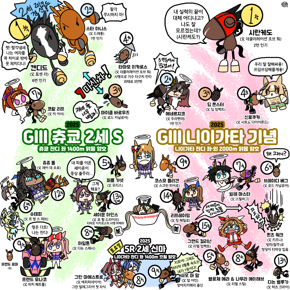 일요일 츄쿄2세S, 니이가타기념 그림
