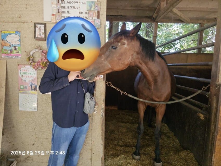 우라라 마지막 견학짤이래