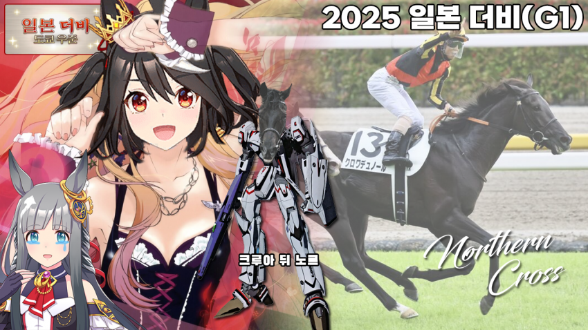 핫산)2025 프랭스 도랑주상 - 크루아 뒤 노르 / 오렌지 북십자성