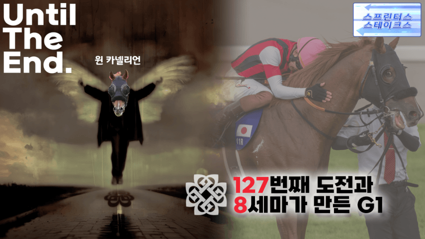 심플한 다음 경마 핫산 썸네일.png