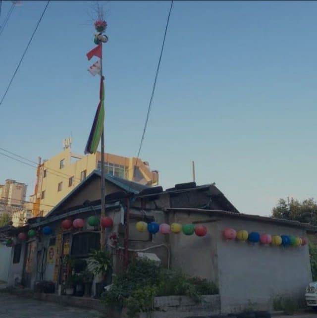 짧) 추석을 맞아 트레이너를 따라 한국을 찾은 스틸