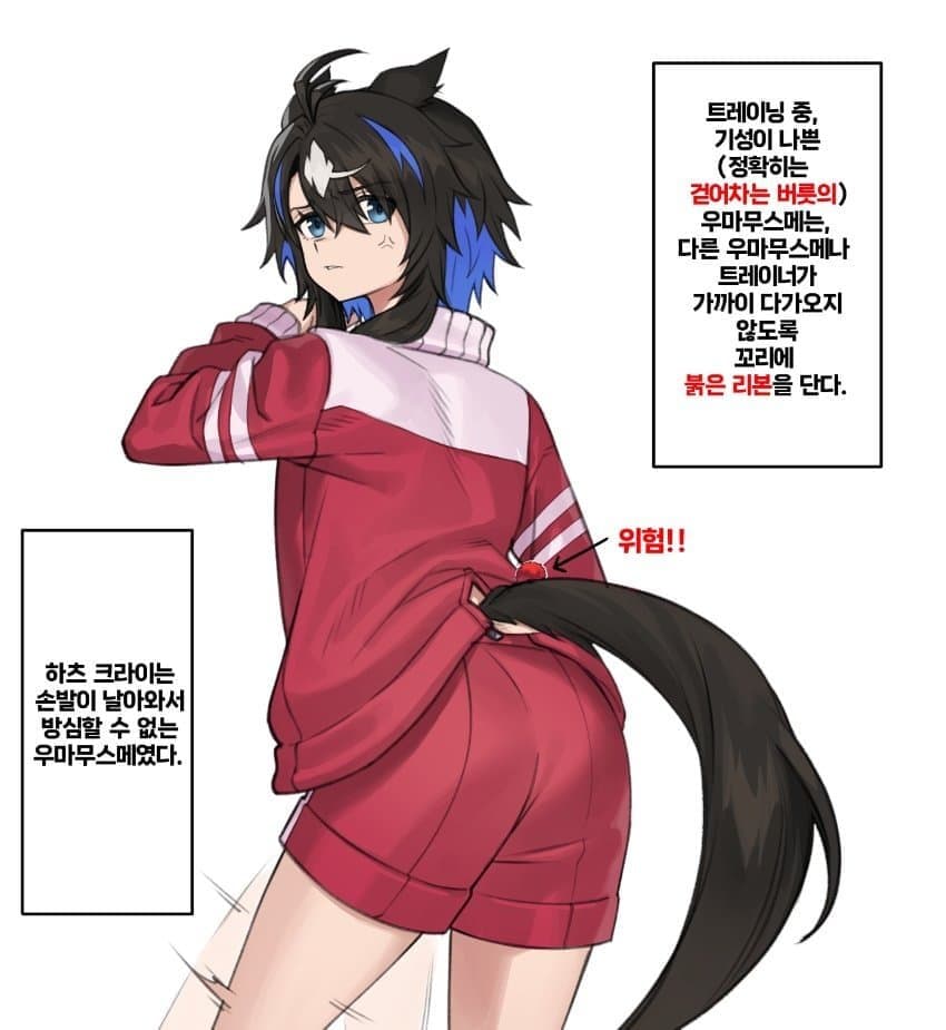 환각)하츠 크라이와 붉은 리본