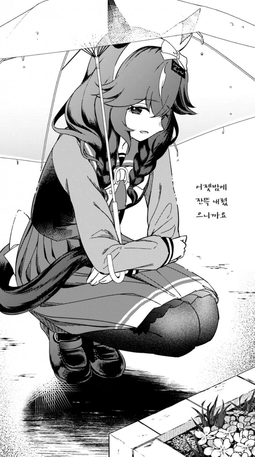 [飴ノ山]"화단 보러 나왔구나"