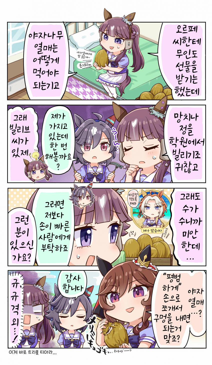 [allitell]생체 코코넛따개