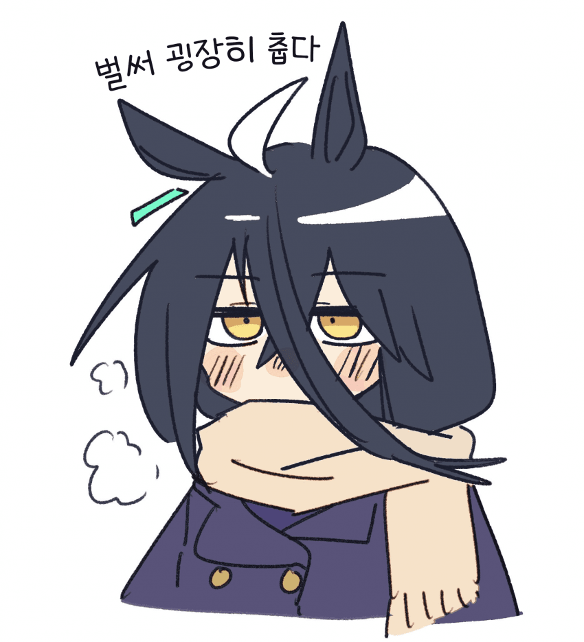 [じゃ]겨울 날씨의 타키카페