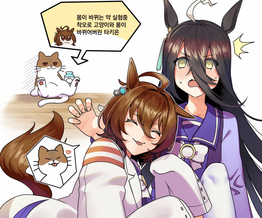 [カトゥー]타키냥