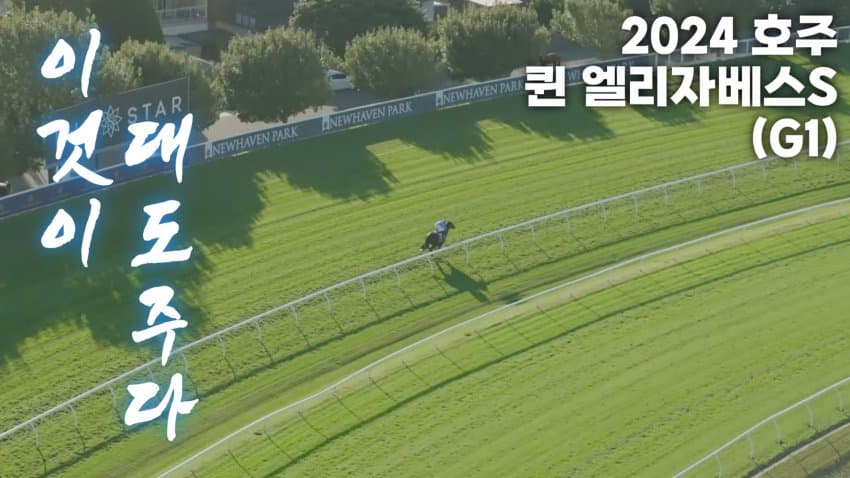 핫산) 대도주, 결코 다시 대도주 (2025 엠파이어 로즈 G1)