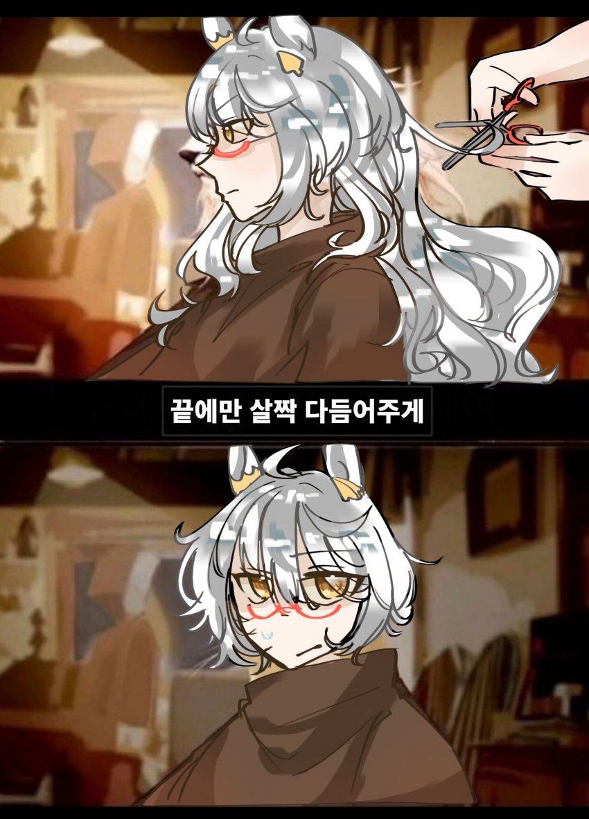 끝에만 살짝 다듬으라 했잖나!
