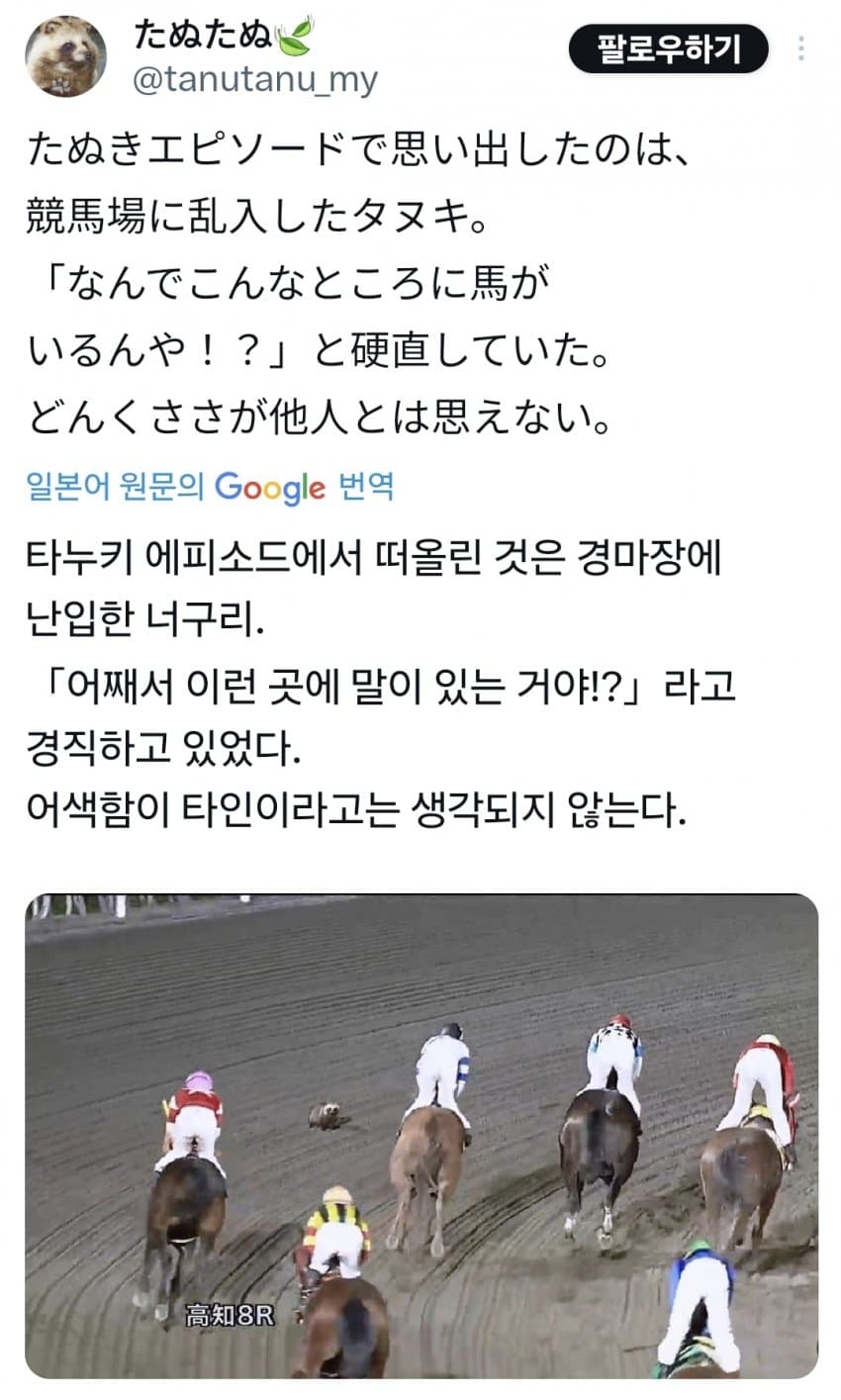 [JAZZ JACK] 경마장에 난입한 너구리