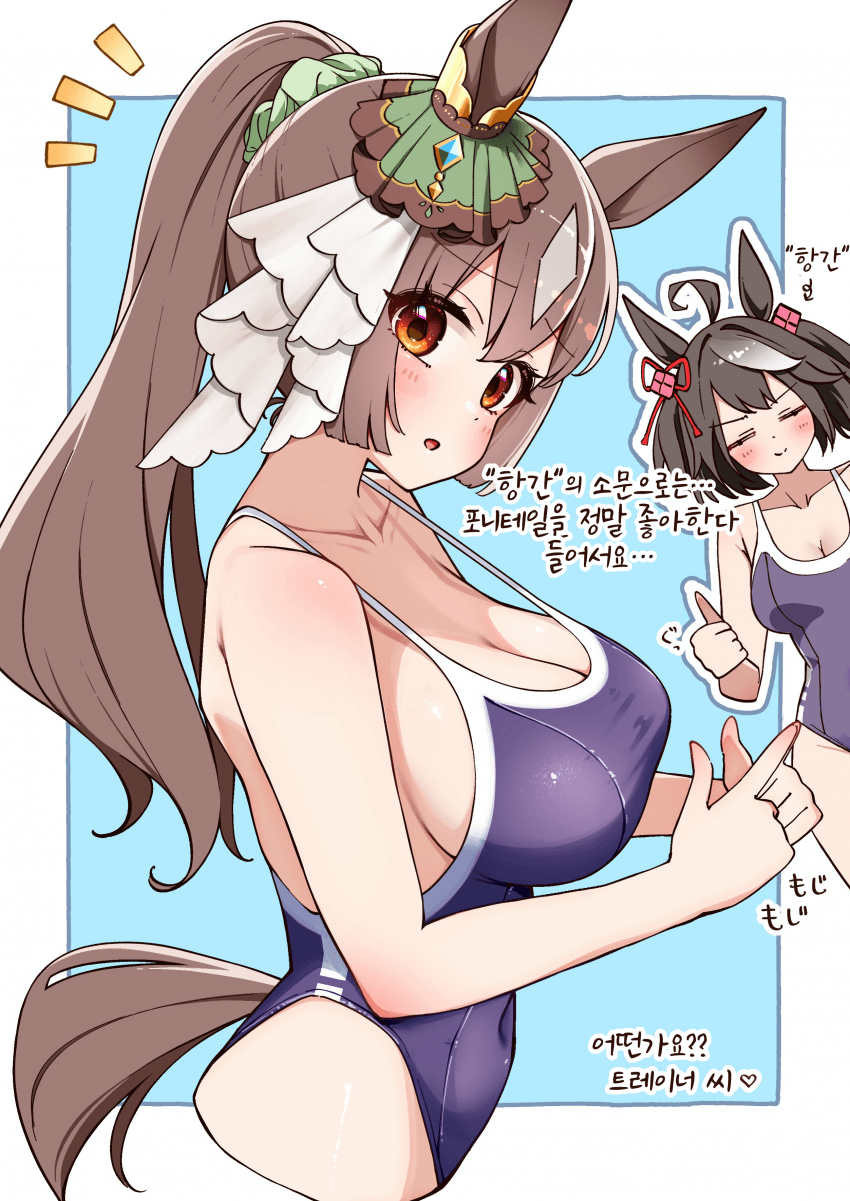 [ぽんたの毛玉]포니테일 다이아짱