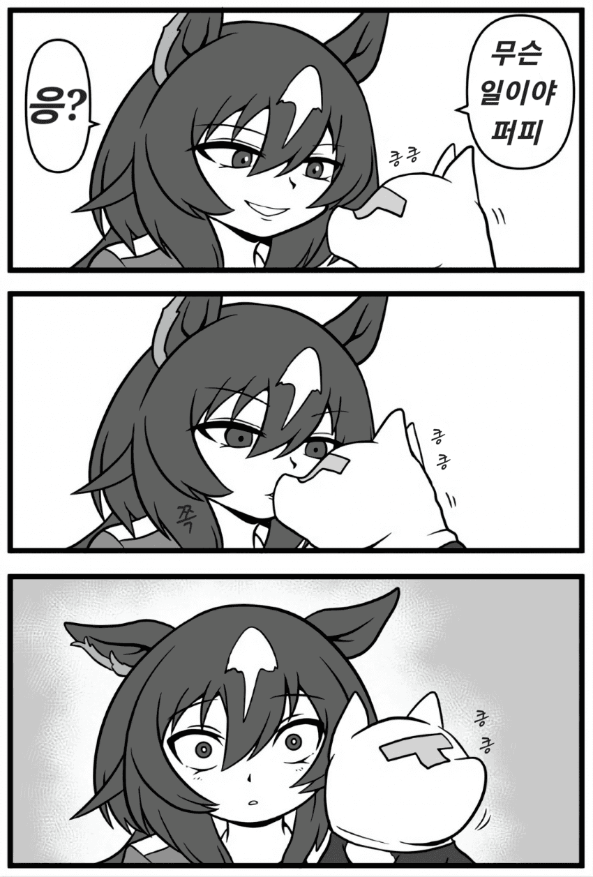 [プードッグ] ?!