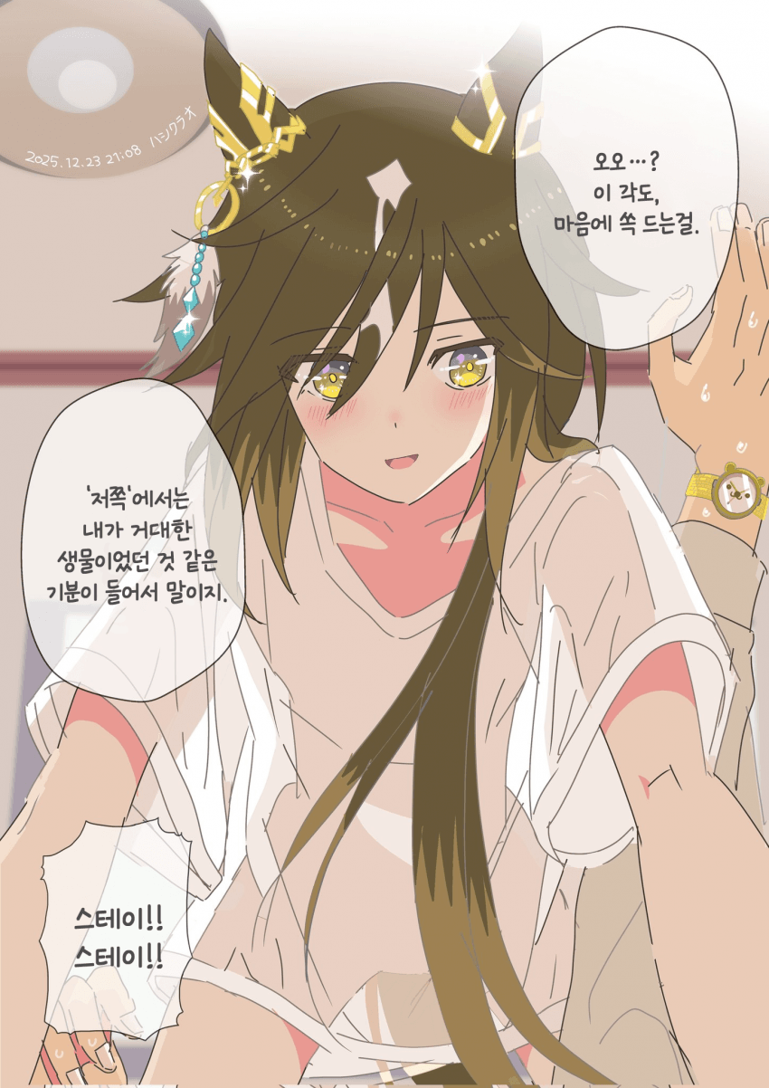 [クラヲ] 스테고 오래된 기억