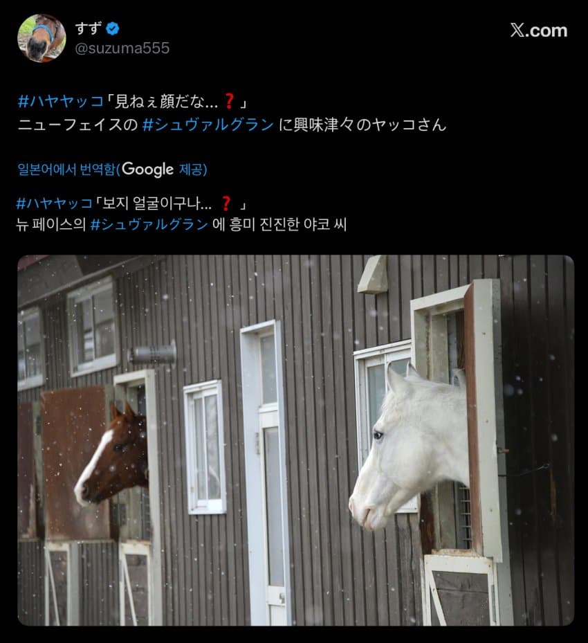 슈발그랑 트위터 번역 상태가?