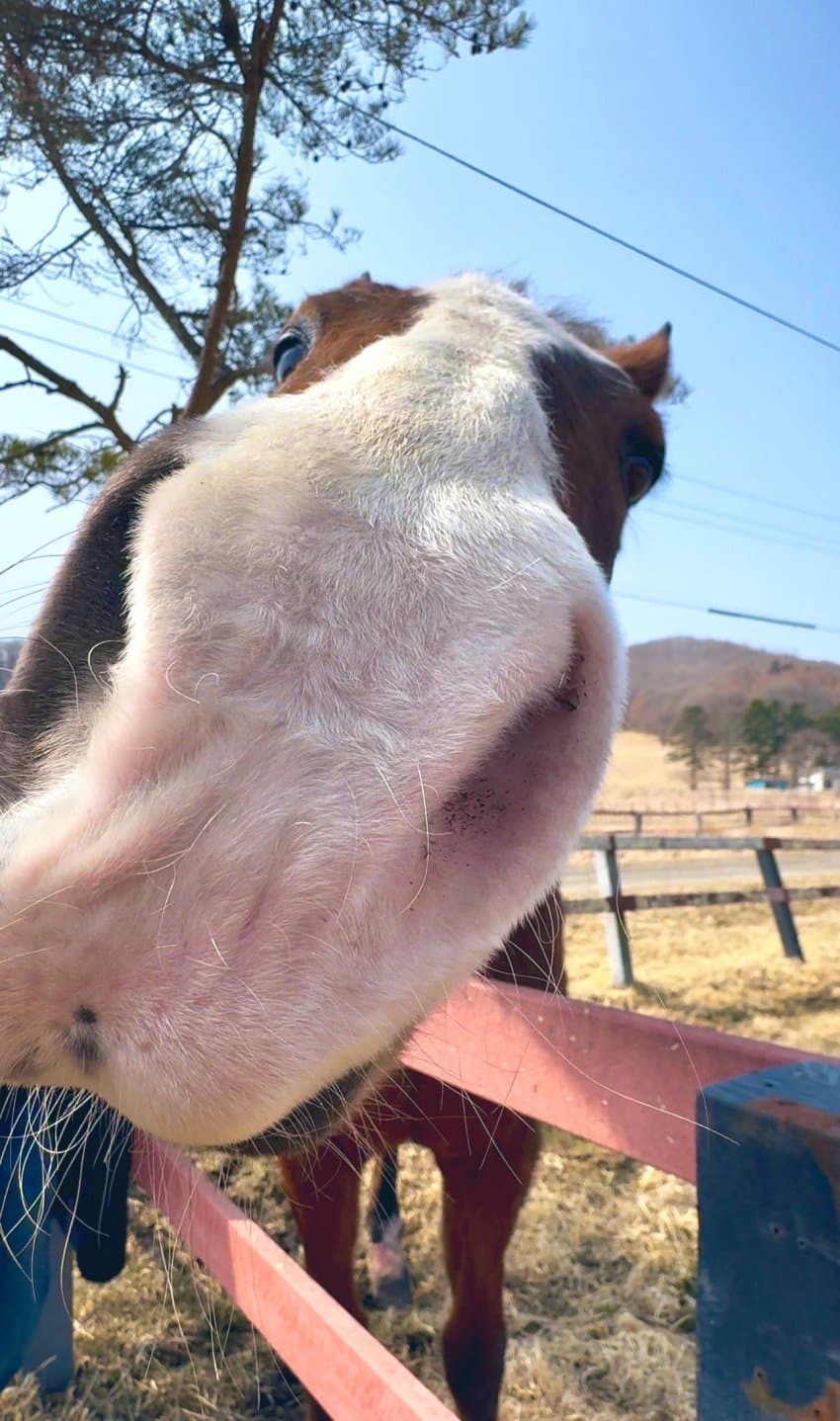 도토 최신짤 뭐임???