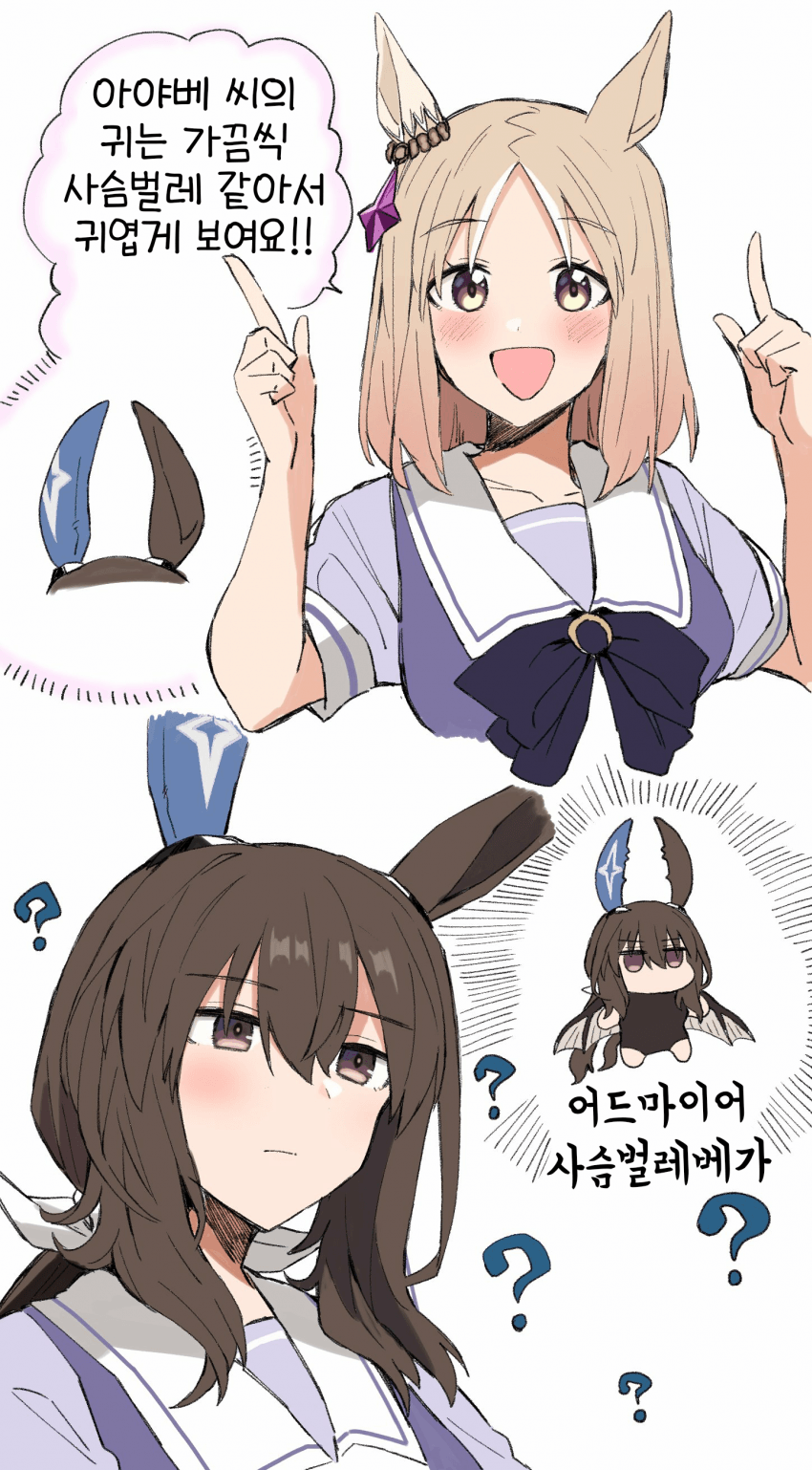 [ひとで]어드마이어 사슴벌레 베가