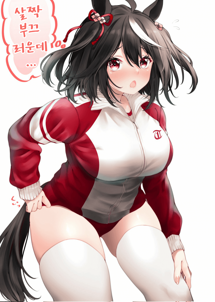 [藤田はやお]브루마 키타산