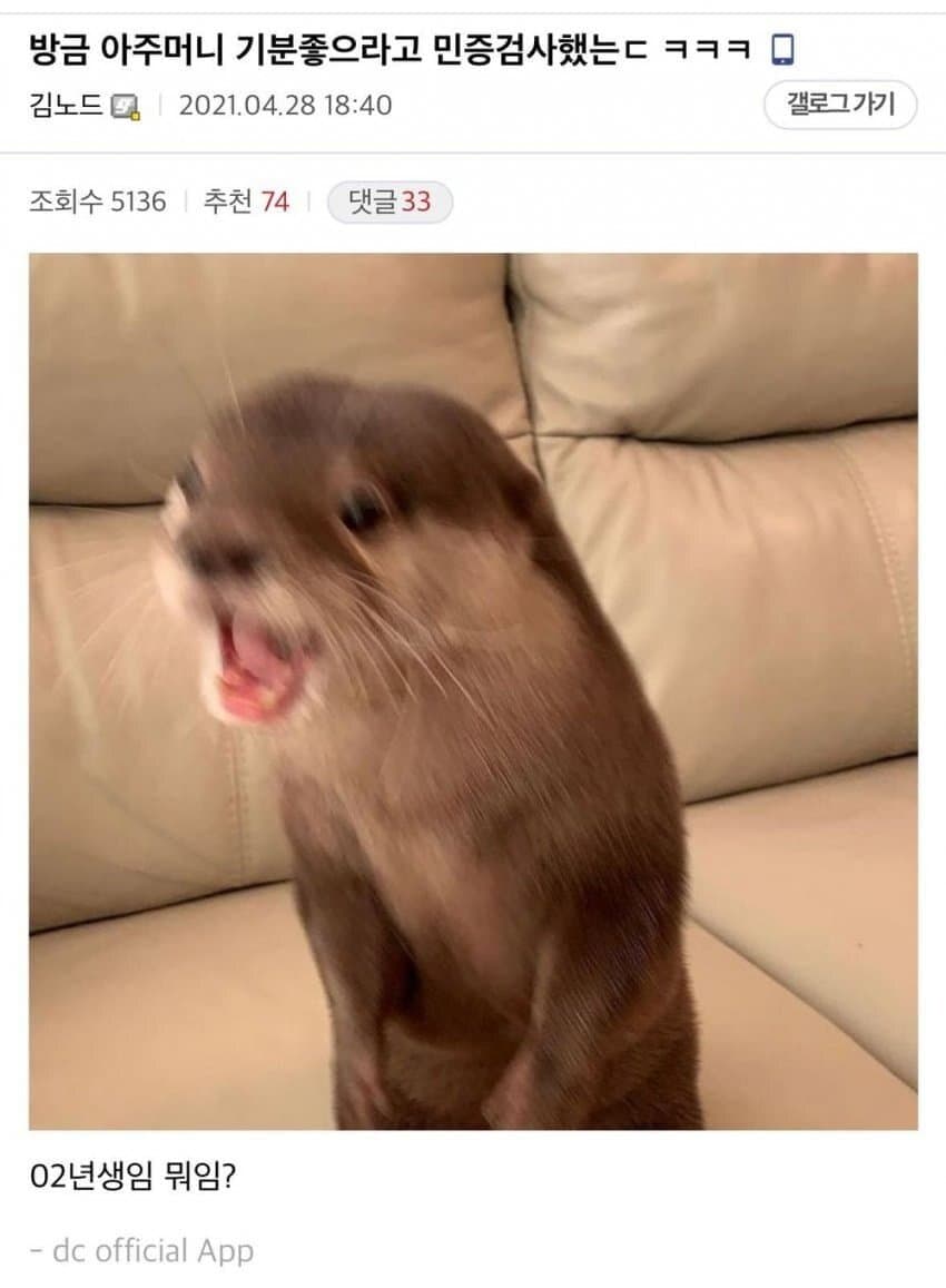 야 방금 말붕이 아줌마 기분 좋으라고 민증 검사 했는데