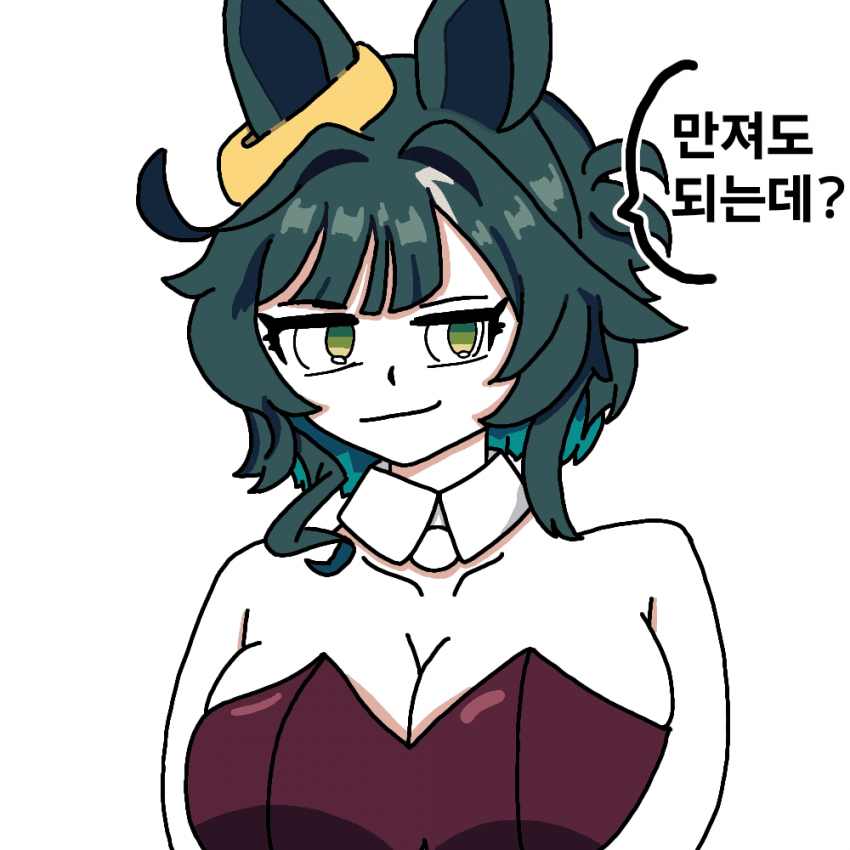 바니걸 키세키