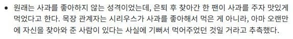 [괴문서] 퍼피. 나, 네 아이를 임신했어