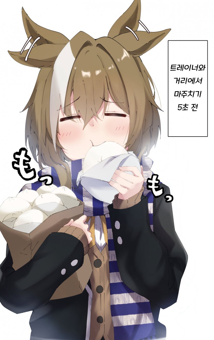 ぱんどあ) 고기만두 잔뜩 먹는 슈발.
