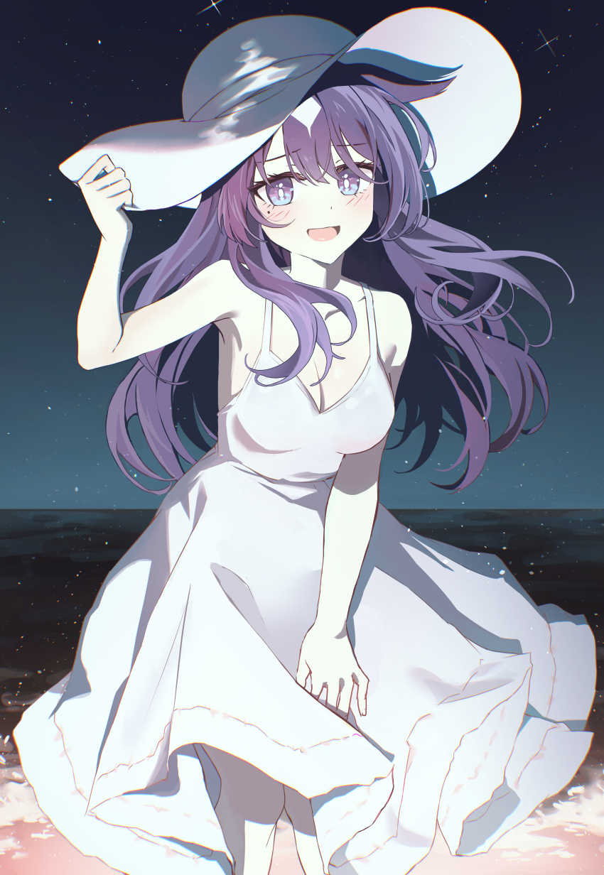 비르시나 그림