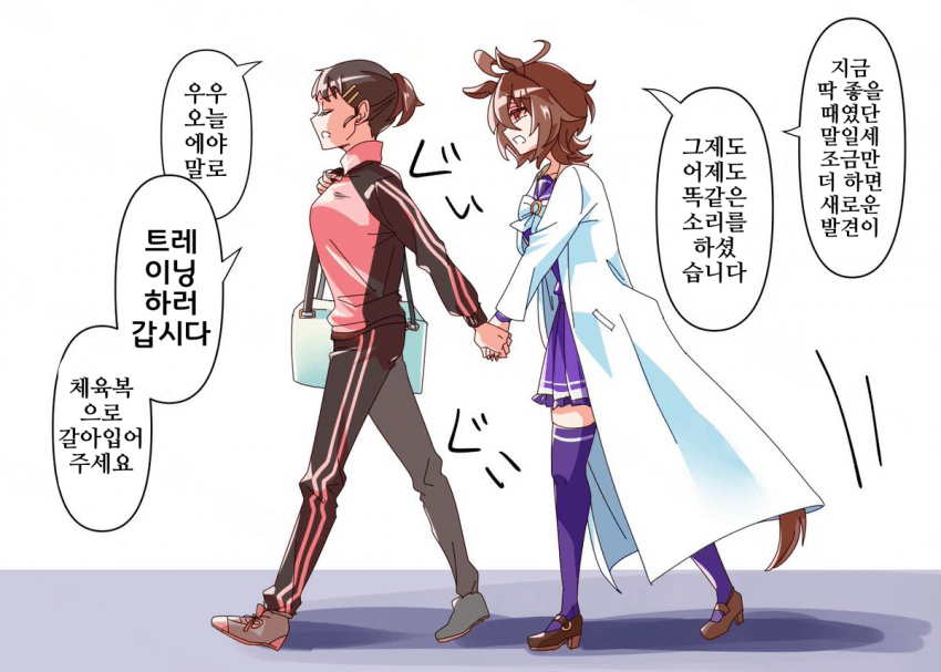 [どすこい]연행