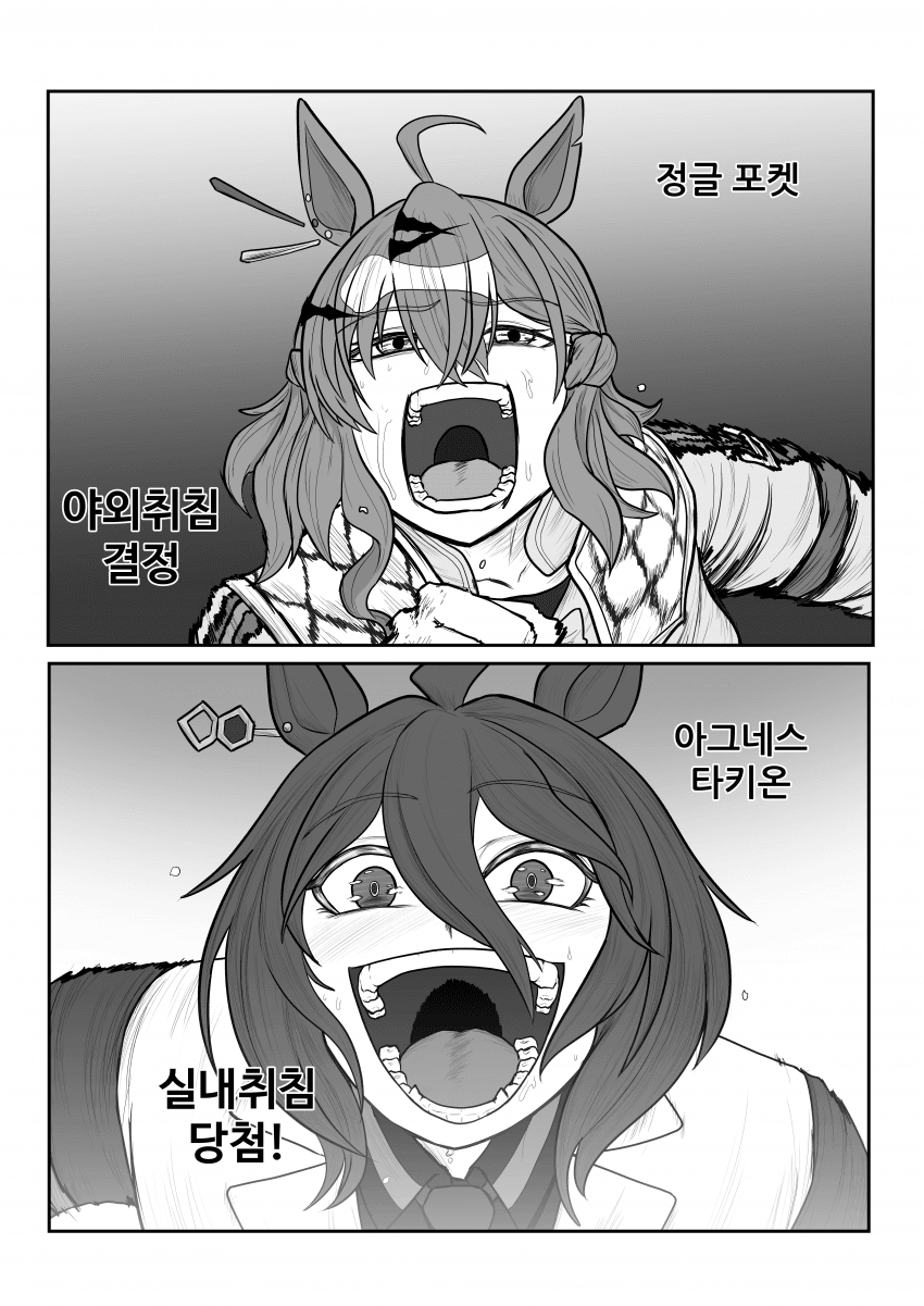 "정글포켓씨 야외취침입니다!!"