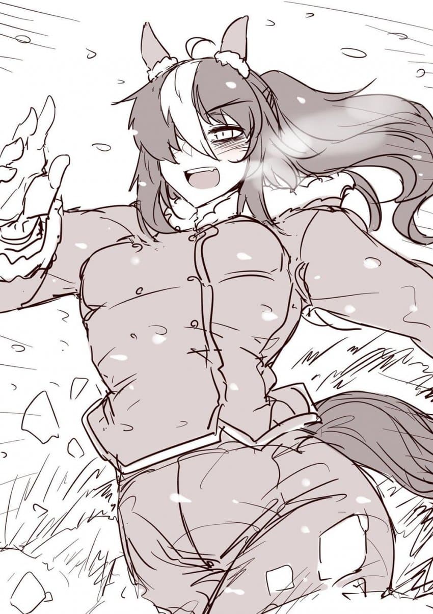 사실 홋카이도 반에이 남편들은 집에 플스 정도는 흔하게 있다.